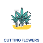 Post-harvest Processing Unit