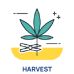 Post-harvest Processing Unit